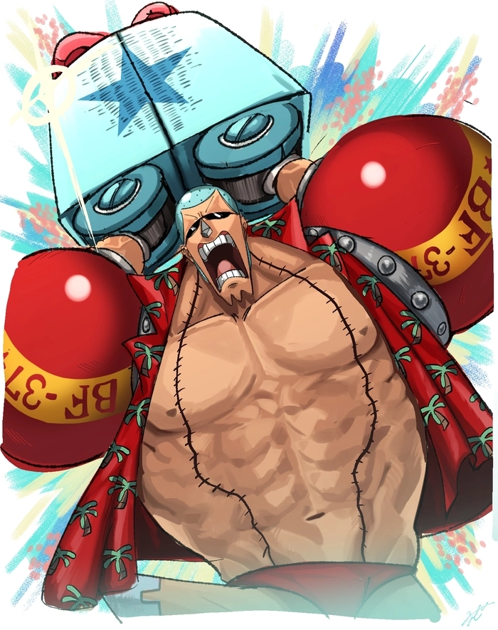 ảnh franky anime chất