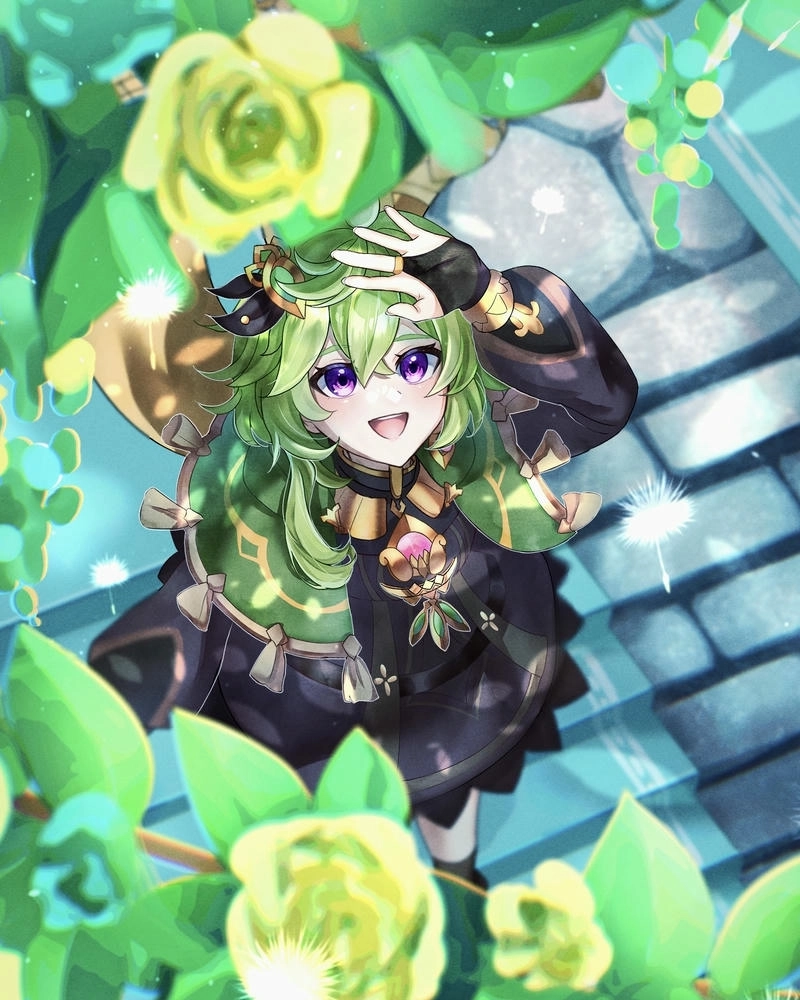 Hình Collei nhí nhảnh