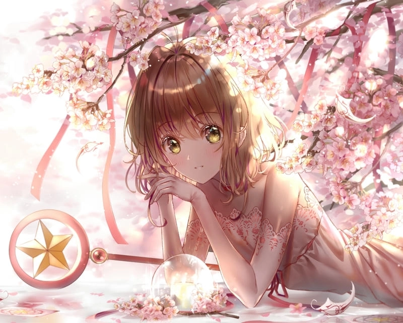 Hình ngộ nghĩnh Sakura Kinomoto