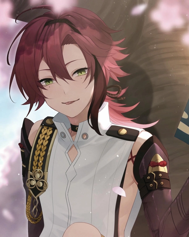 ảnh Shikanoin Heizou ấn tượng