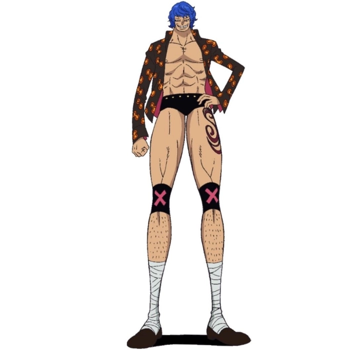 hình Blue Gilly One Piece