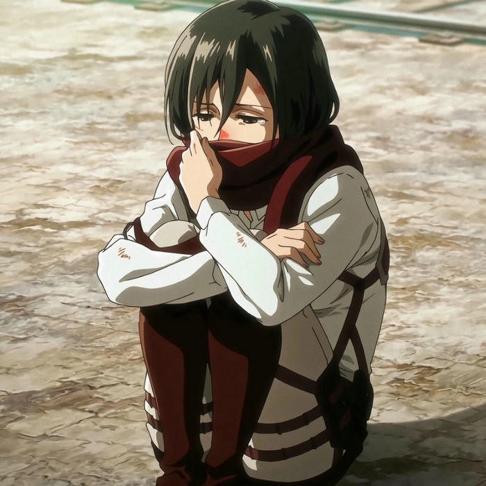 Hình Mikasa Ackerman full HD