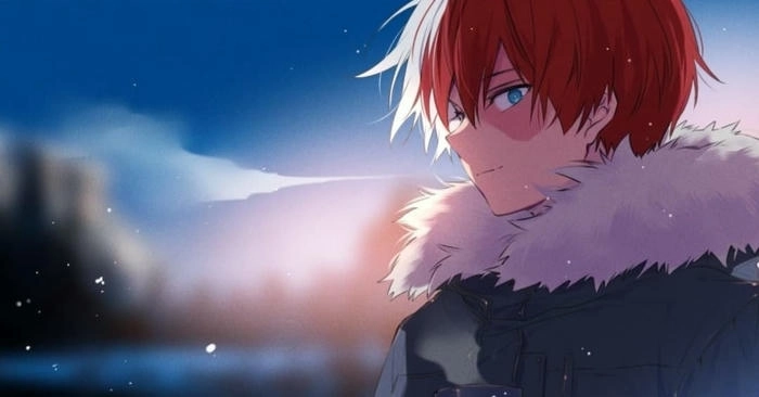 Hình ảnh Shoto Todoroki cool