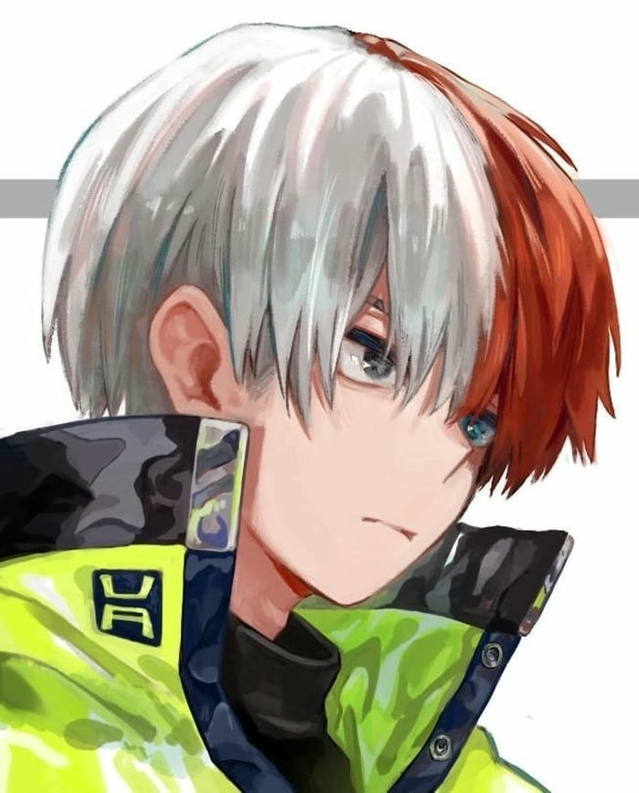 Ảnh Shoto Todoroki đẹp