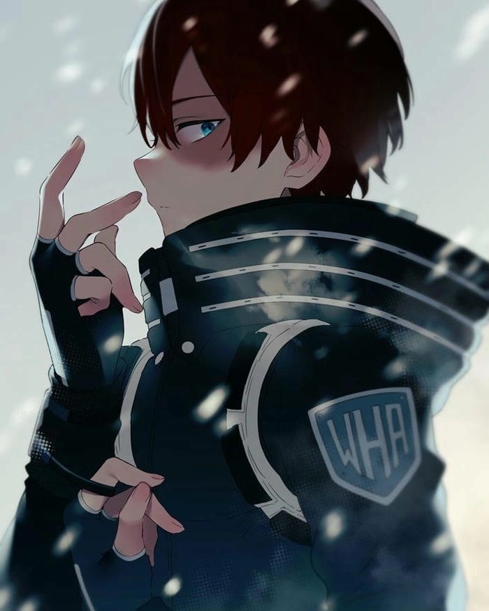 Hình Shoto Todoroki cực ngầu
