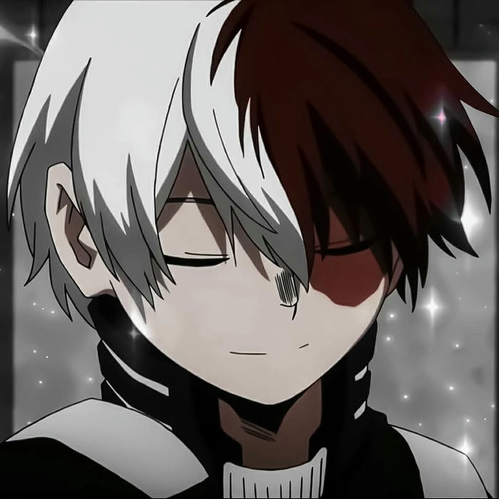 Ảnh Shoto Todoroki anime ngầu