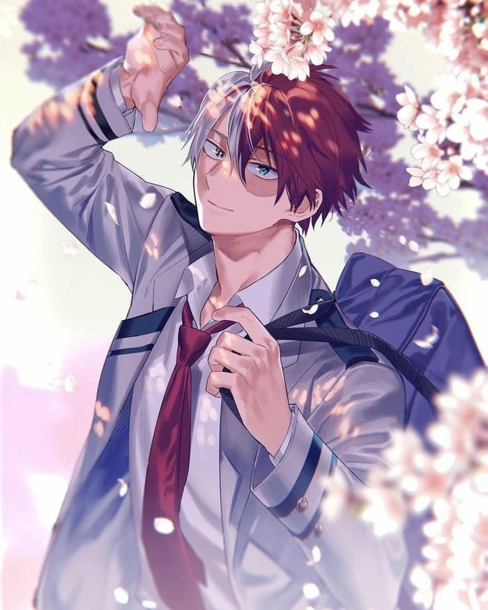Ảnh Shoto Todoroki ấn tượng