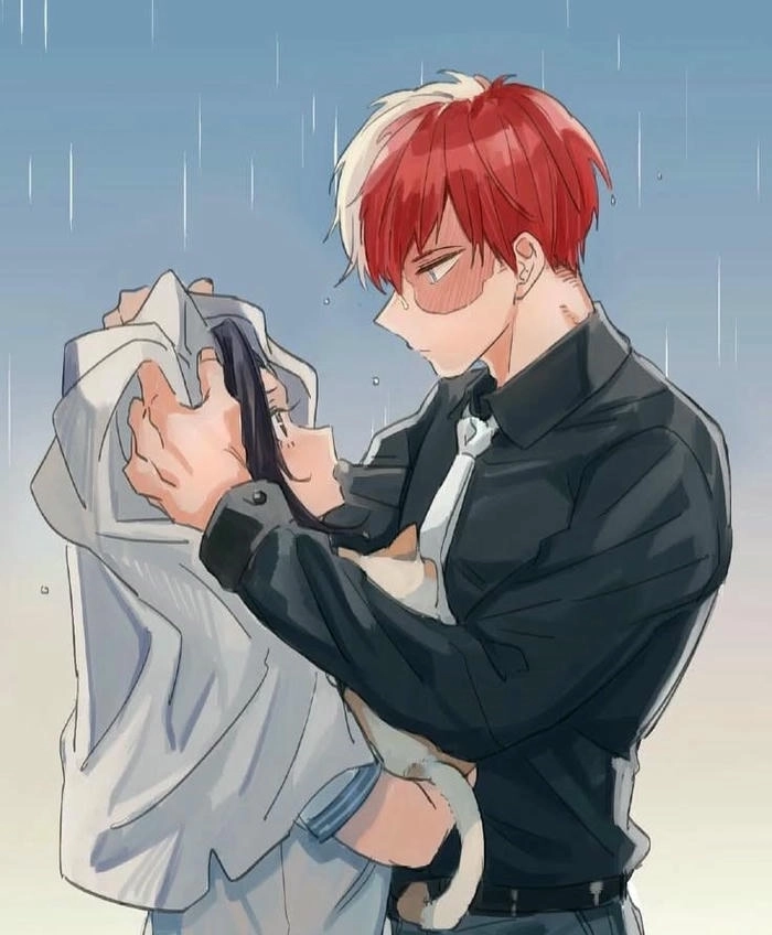 Hình Shoto Todoroki chất ngầu