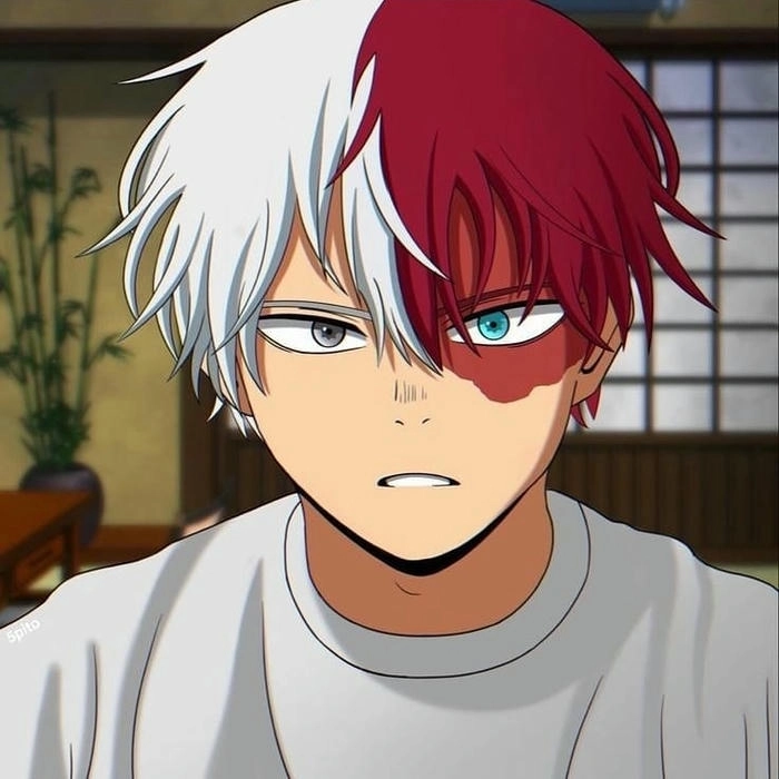 Ảnh Shoto Todoroki nổi bật