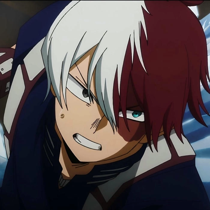 Hình Shoto Todoroki phong cách