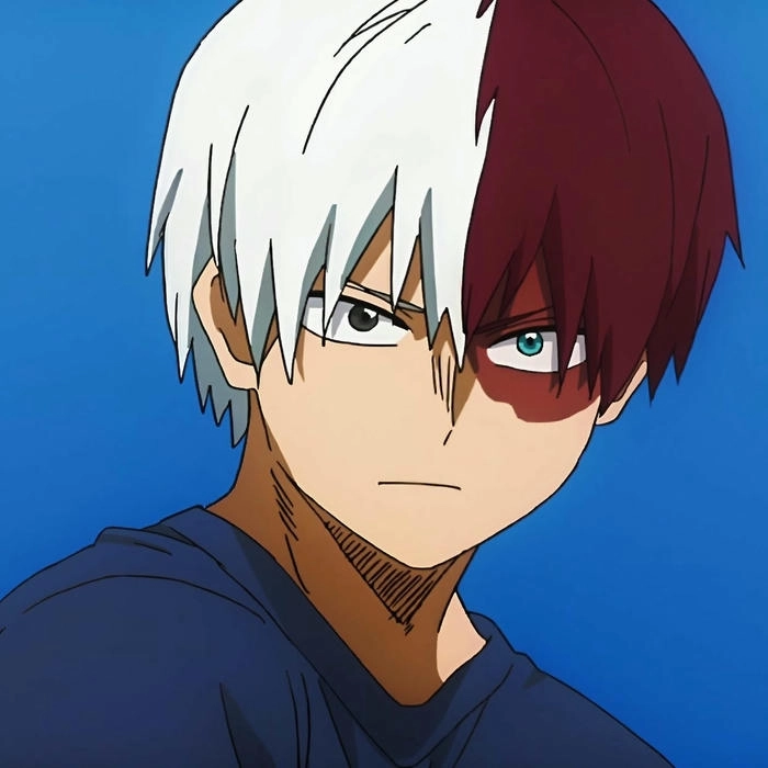 Ảnh Shoto Todoroki cool ngầu