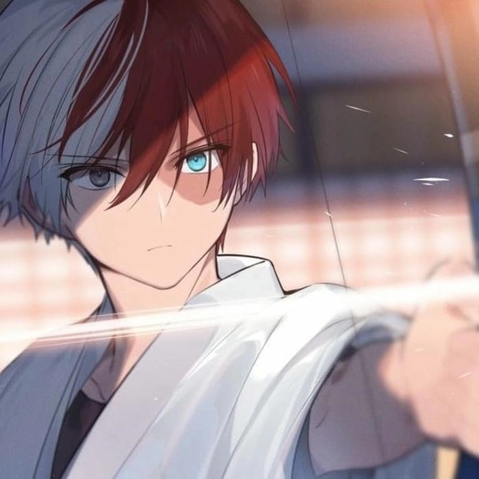 Hình vẽ Shoto Todoroki chất
