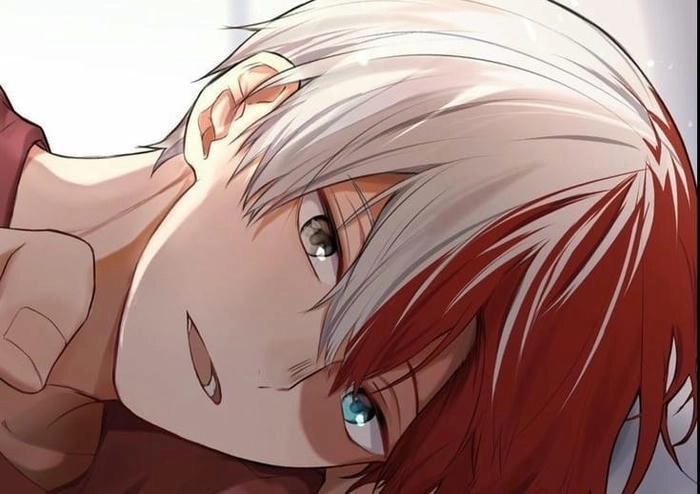 Ảnh fanart Shoto Todoroki