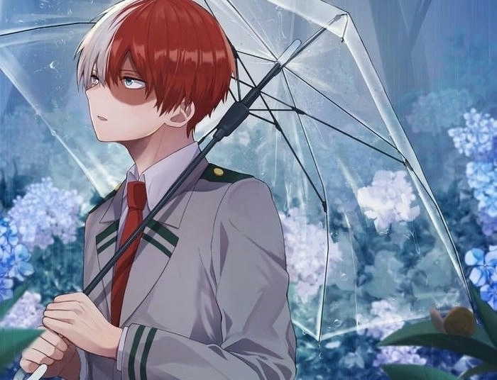 Hình Shoto Todoroki siêu ngầu