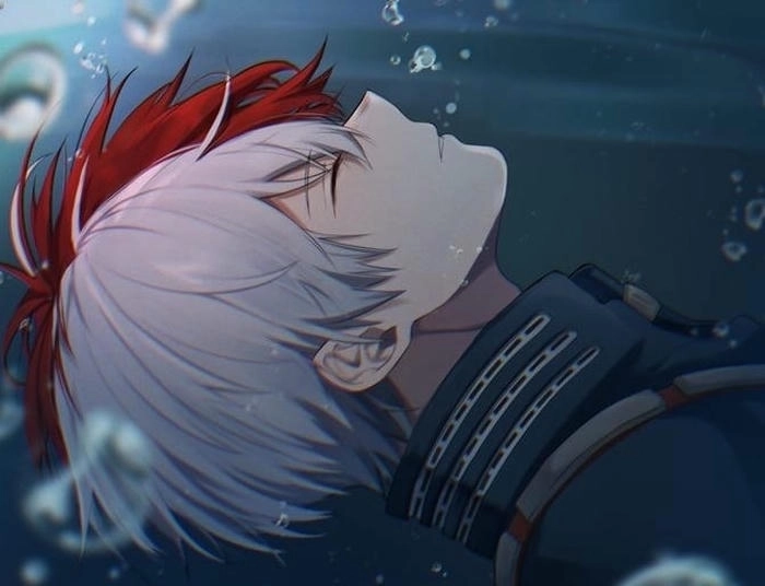 Hình Shoto Todoroki cá tính