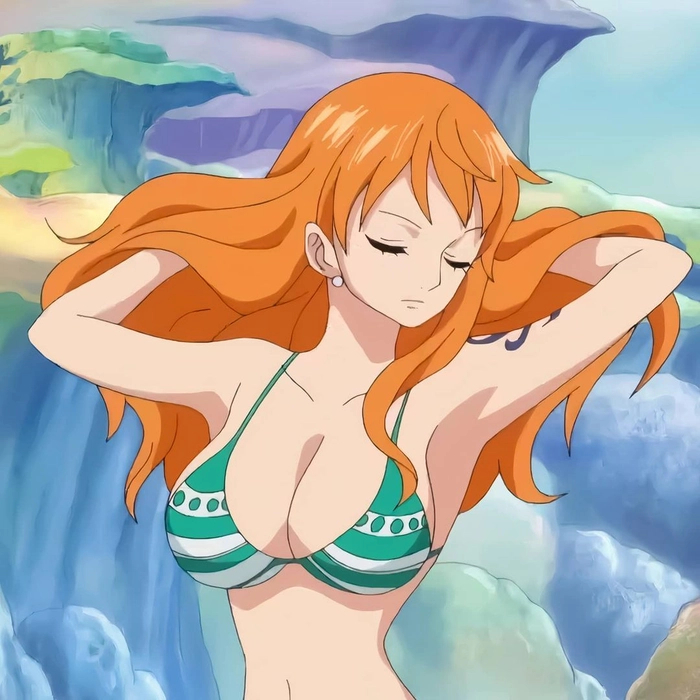 one piece nami bikini