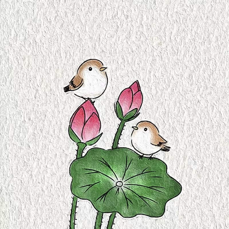 Chim chibi mang vẻ ngây ngô đáng yêu