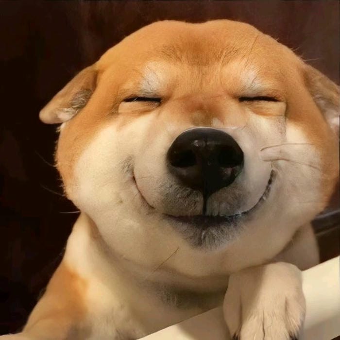 cười meme kiểu cười đểu quen thuộc