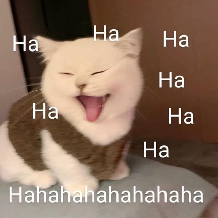 cười meme tít mắt nhìn đầy ẩn ý hài