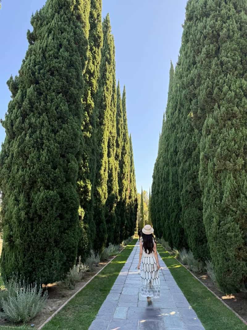 gái xinh quay lưng phong cách thanh lịch