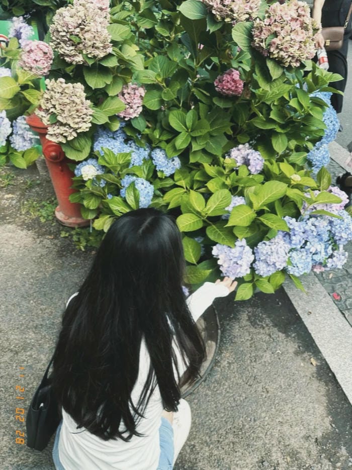 gái xinh tóc dài nét đẹp mộc mạc