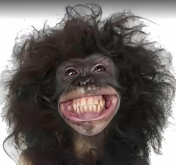 hình cười meme nét mặt cà khịa nhẹ