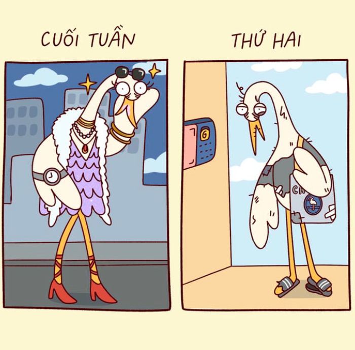 meme hết tiền gương mặt chán đời nhẹ