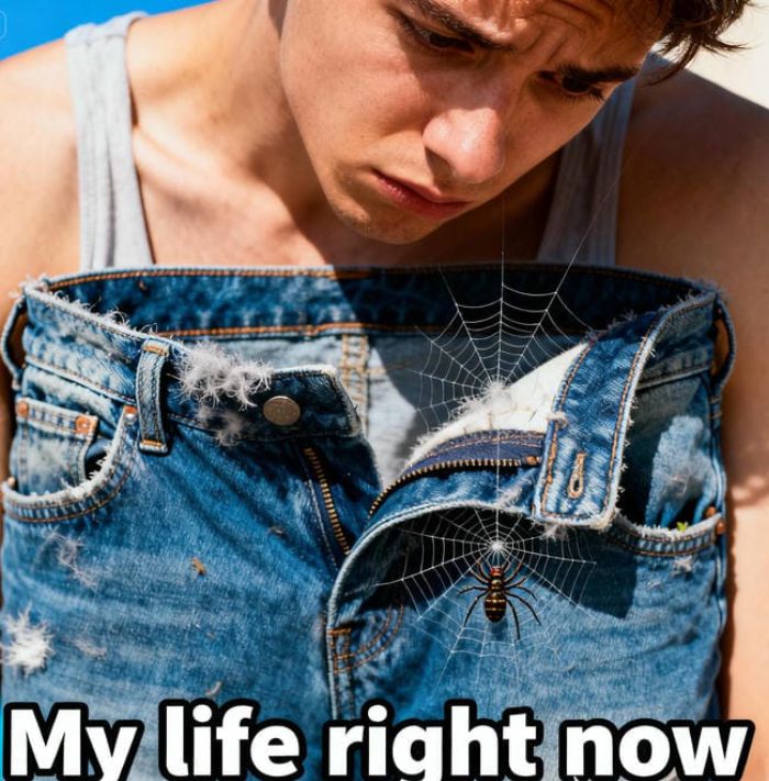 meme hết tiền túi có mạng nhện