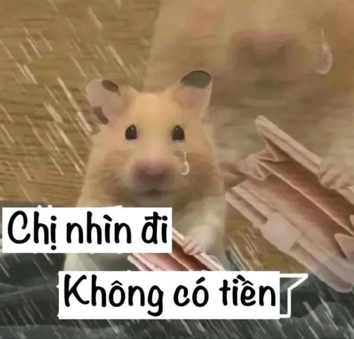 meme nghèo dùng để chứng minh hết tiền