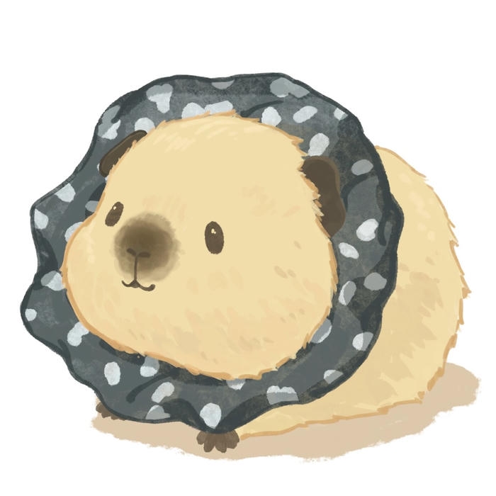 Hình ảnh hamster chibi trông hồn nhiên