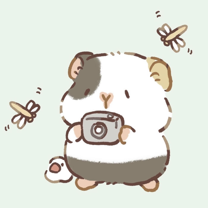 Hình ảnh hamster hoạt hình mang bố cục hài hòa