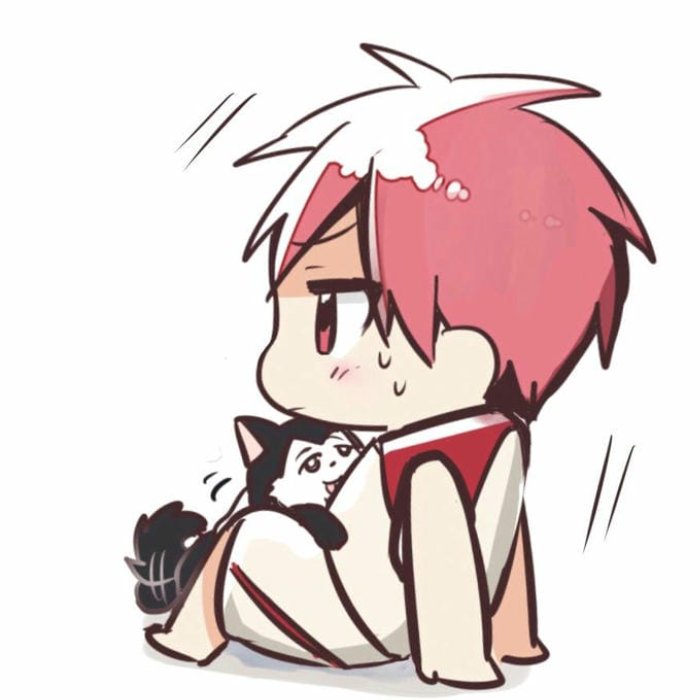 gương mặt tròn dễ thương ảnh anime nam chibi