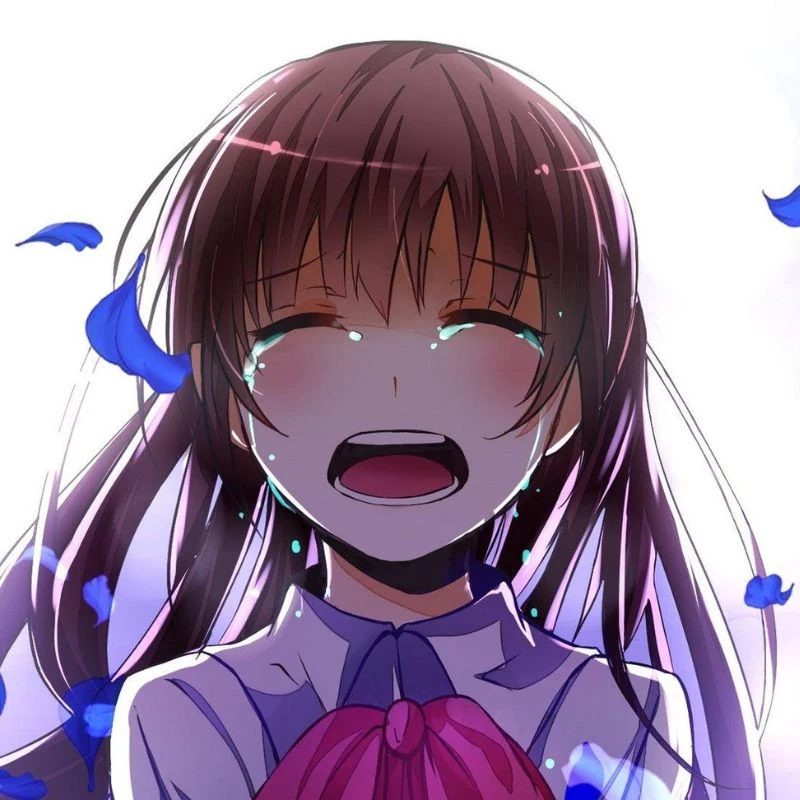 Biểu cảm đau lòng được thể hiện qua ảnh anime khóc
