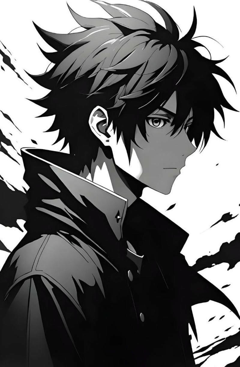 Tạo hình đơn giản nhưng nổi bật trong ảnh anime nam