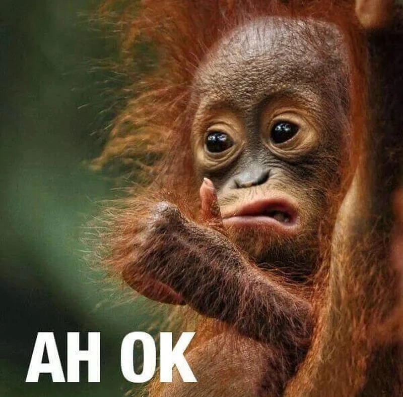 Hình ảnh meme ok với phong cách reaction internet hài